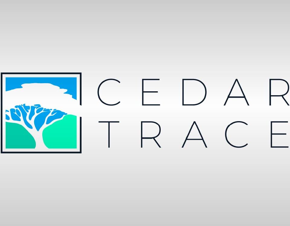 Cedar Trace set to launch $300m Lloyd’s syndicate for 2027